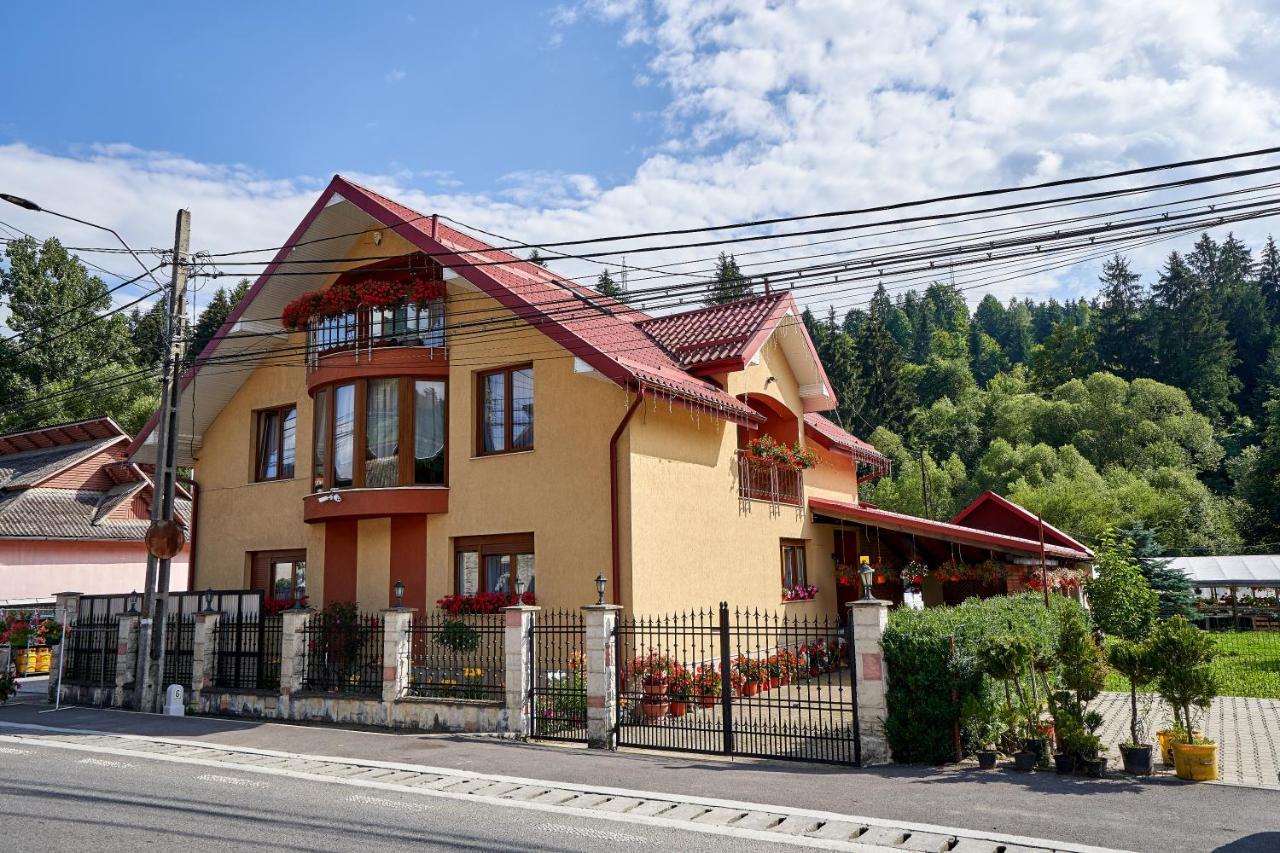 Casa cu Flori Moisei Hotel Exterior foto