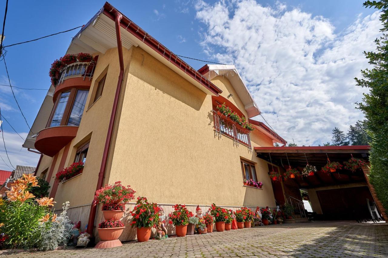 Casa cu Flori Moisei Hotel Exterior foto