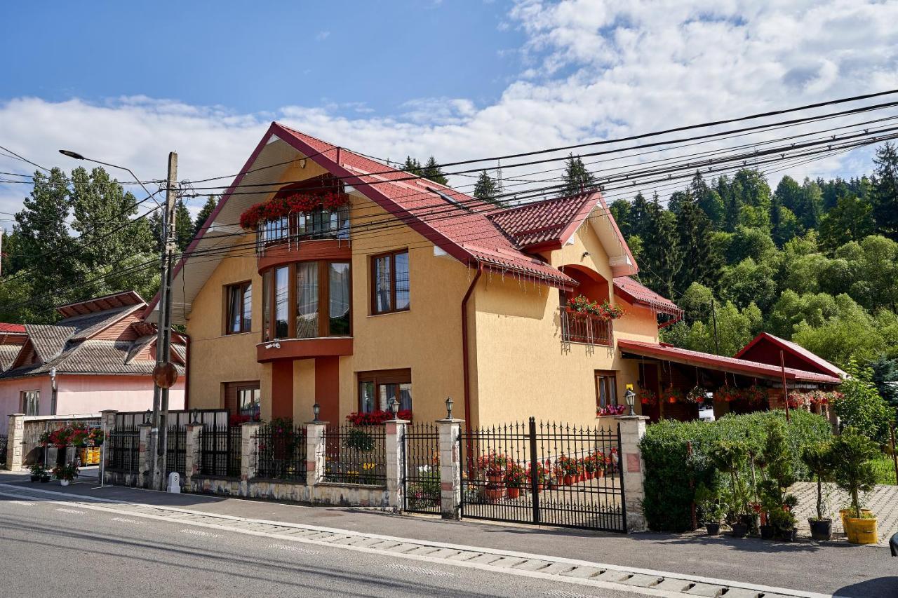 Casa cu Flori Moisei Hotel Exterior foto